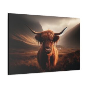 a highland cow standing in a field canvas print