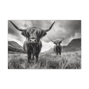 Cool Black and White Highland Cow Canvas