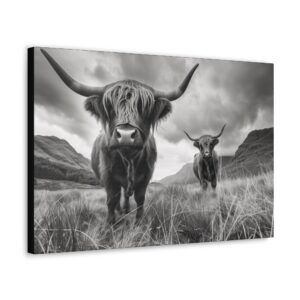 Cool Black and White Highland Cow Canvas