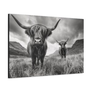 Cool Black and White Highland Cow Canvas