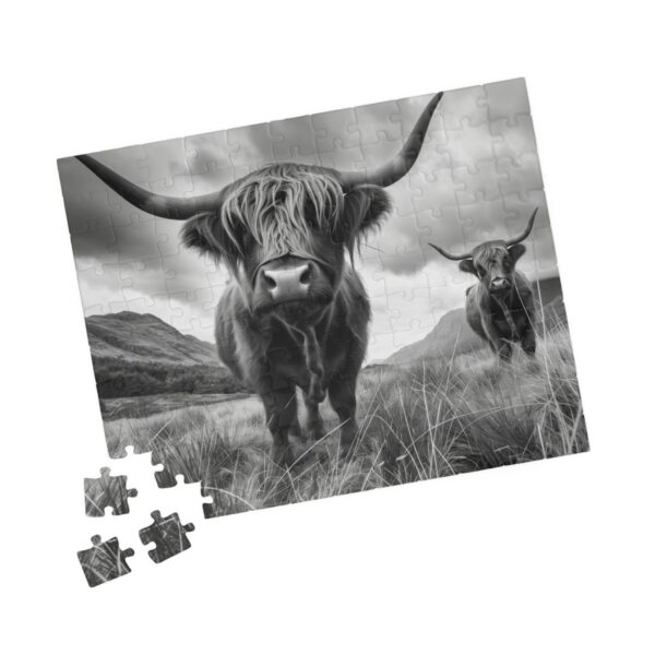 Two highland cows black and white puzzle