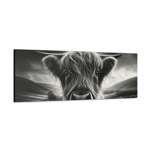 Wide Highland Gaze Canvas Art